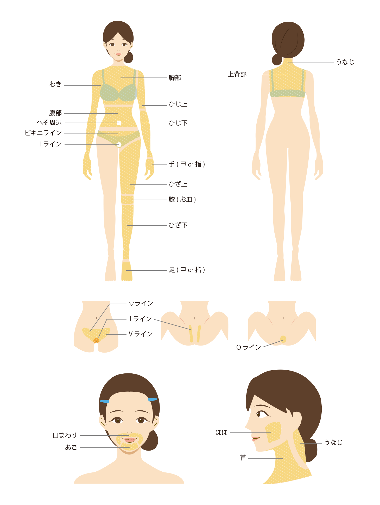 医療レーザー脱毛 太田メディカルクリニック